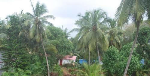 Gabriel Guest House Calangute Eksteriør billede